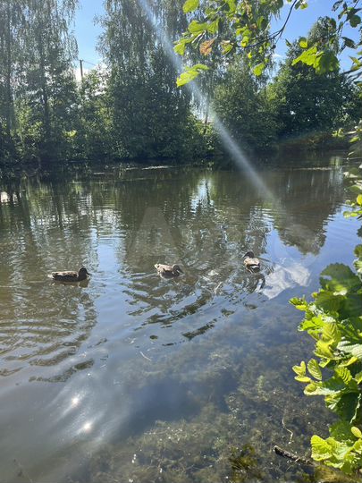 Дача 21 м² на участке 7,4 сот.