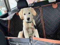 Гамак для собак в автомобиль