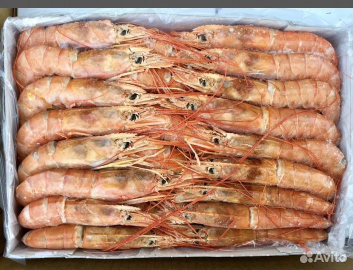 Креветки Лангустины