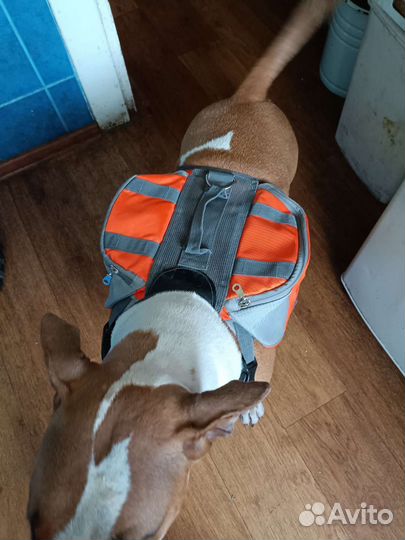 Рюкзак походный