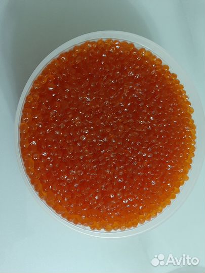 Красная икра горбуши