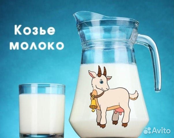 Домашнее козье молоко