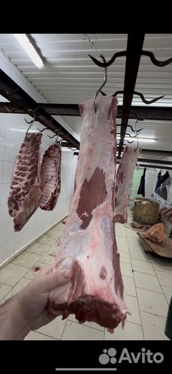 Балык/карбонат/вырезка