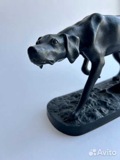 Собака пойнтер куса 1955 год