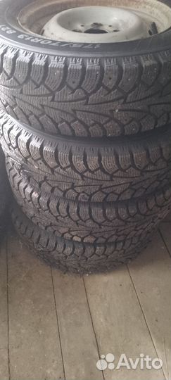 Продаю зимних рейзини