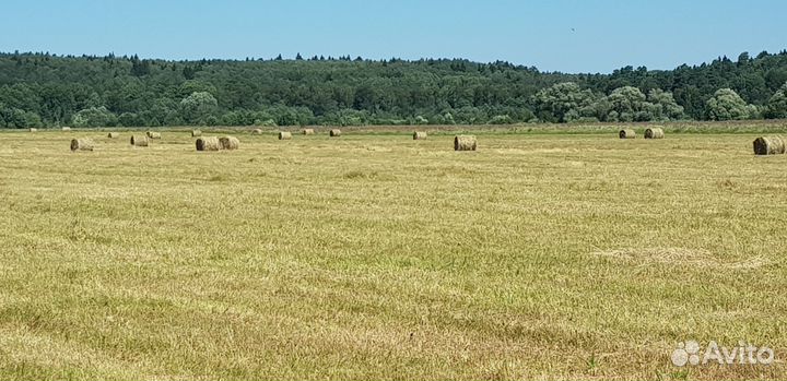 Сено в рулонах