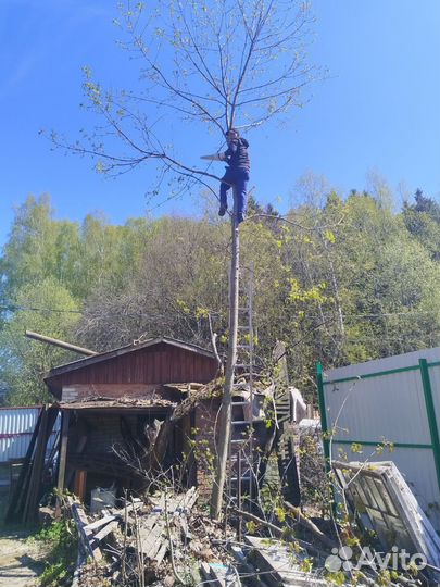 Агроном.Уход за садом