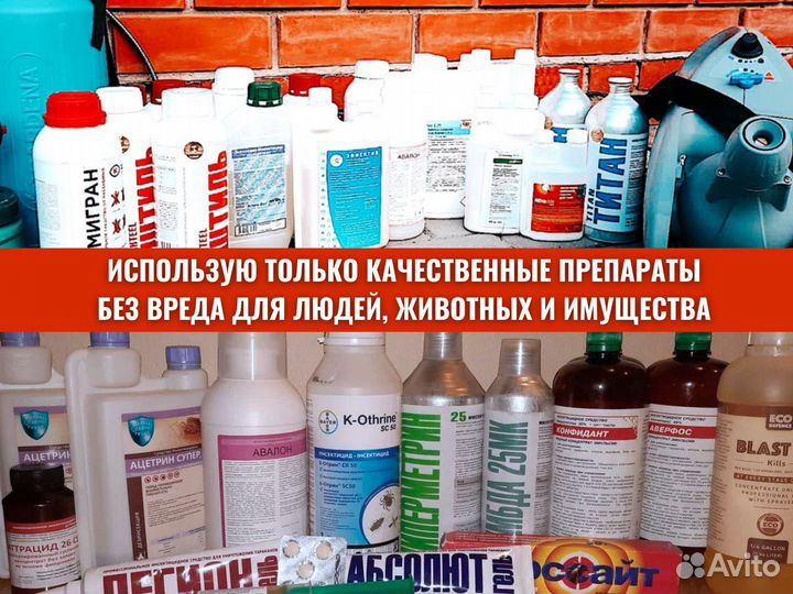 Дезинфекция / Уничтожение тараканов клопов плесени