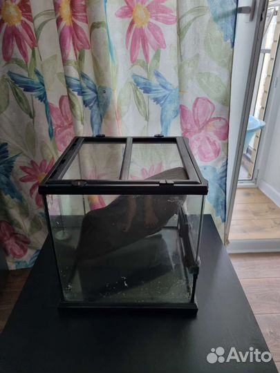 Террариум Exo Terra 45*45*45 см