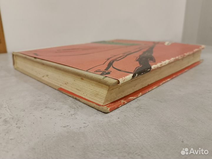 Малиновский Р.Я. Солдаты России