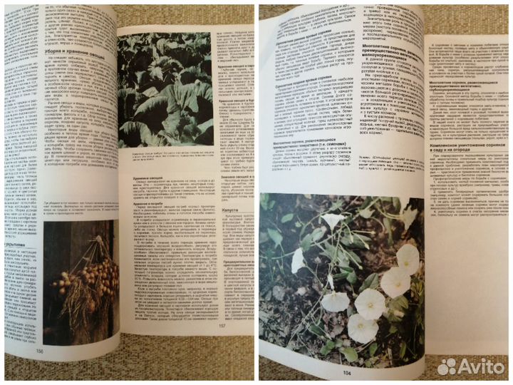 Энциклопедия садовода