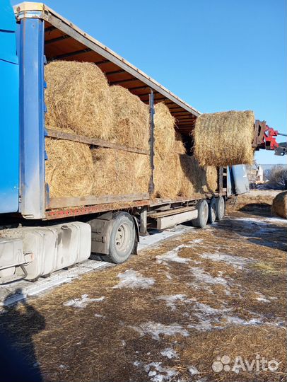 Продам сено в рулонах