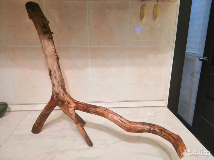 Коряга большая