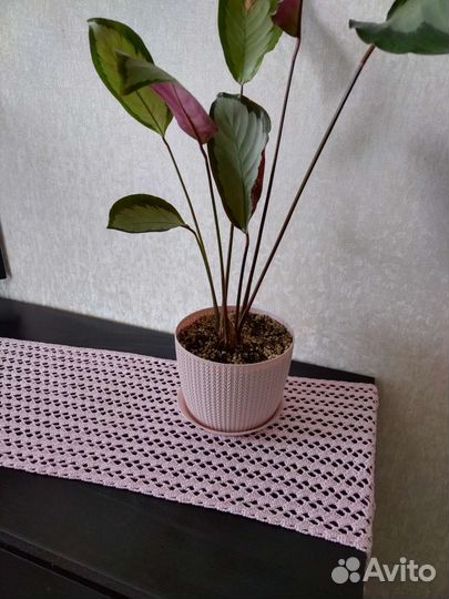 Дорожка на стол