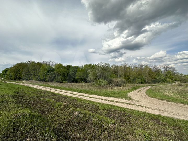 Участок 40 сот. (СНТ, ДНП)