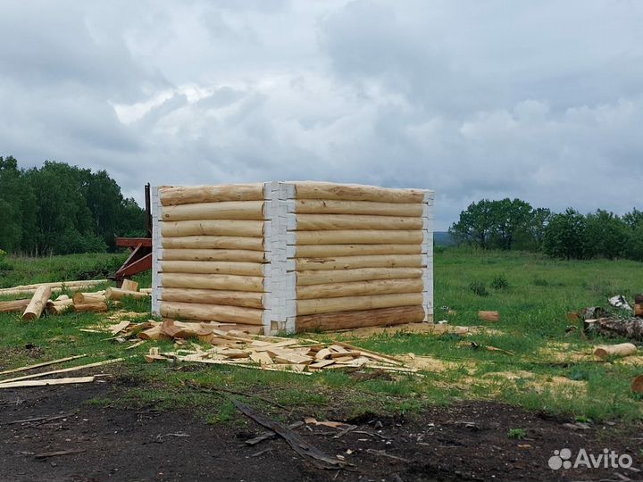 Сруб для бани липа