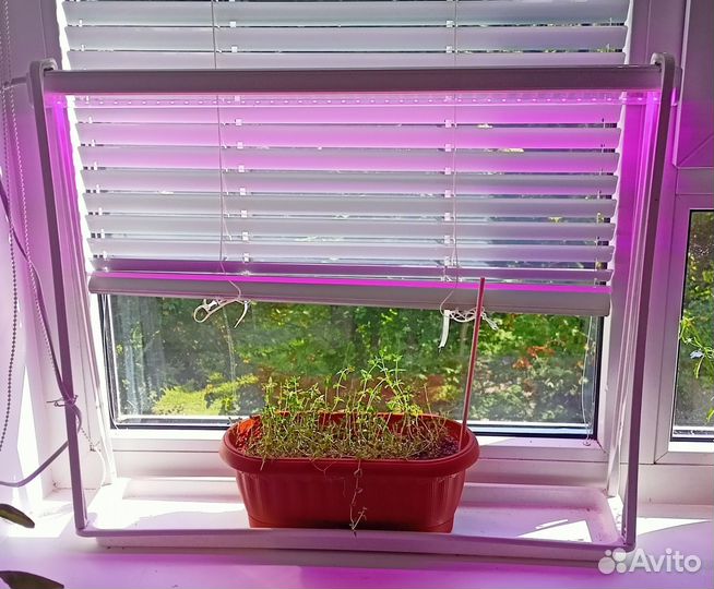 Фитолампа Uniel на подставке с поддоном