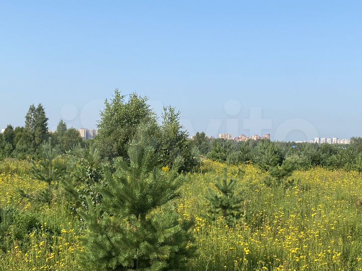 Участок 8 сот. (ИЖС)