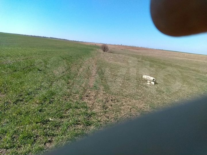 Участок 4,5 га (СНТ, ДНП)