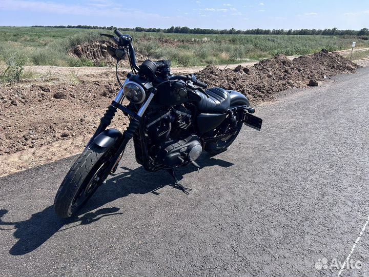 Sportster 883 iron