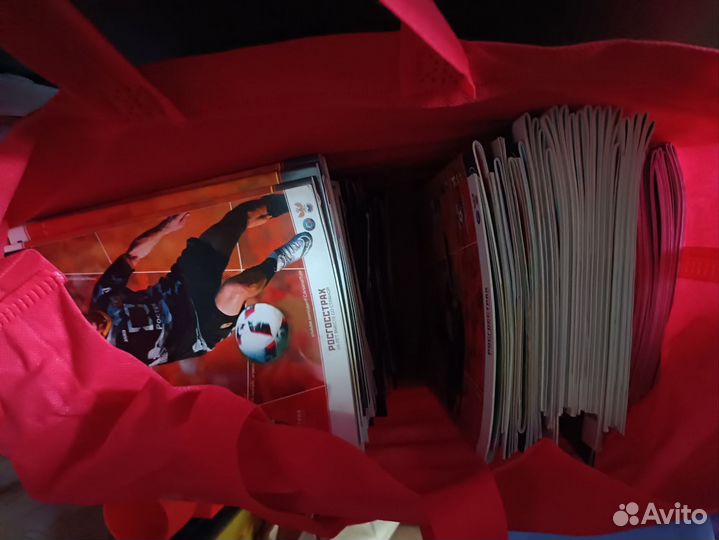 Программки фк Арсенал Тула