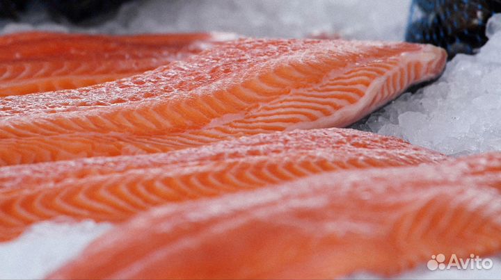 Форель морская премиум 3/4 кг