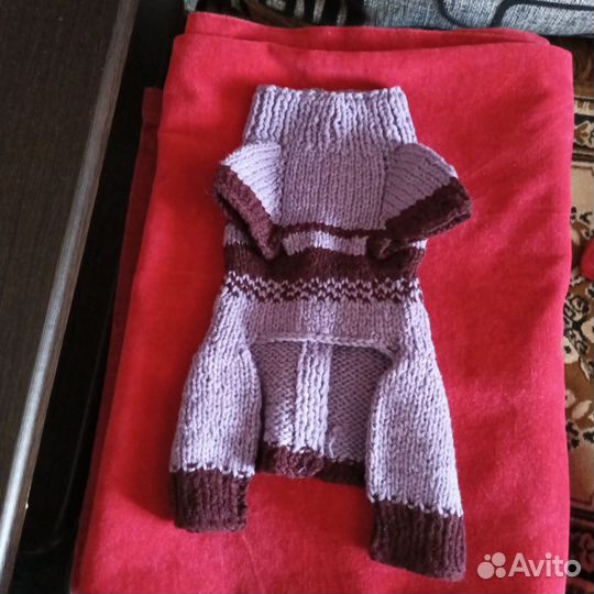 Одежда для тойчика