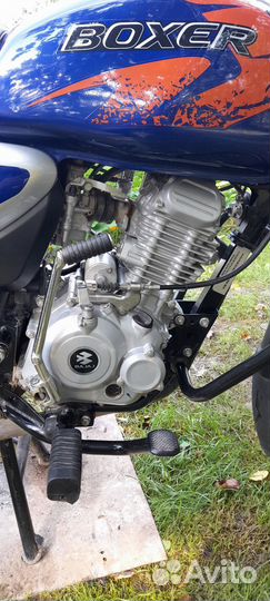 Bajaj Boxer