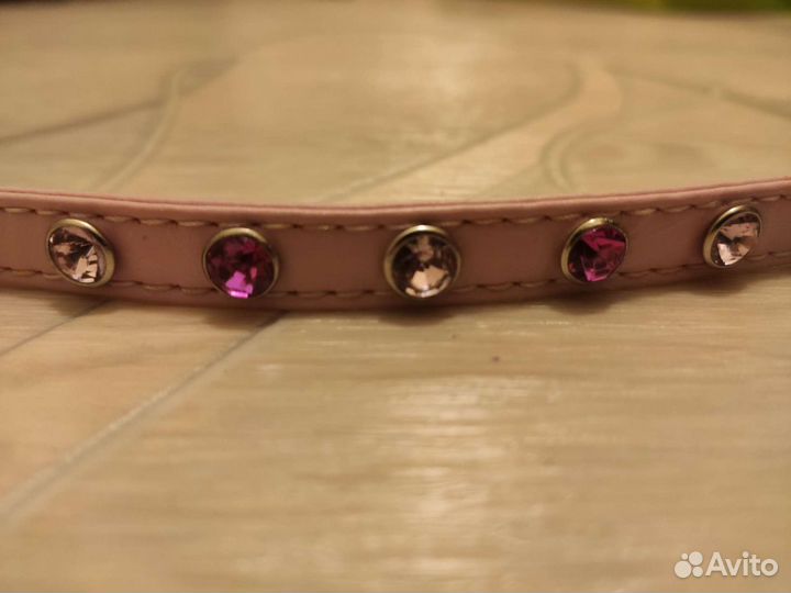 Ошейник для маленьких собак