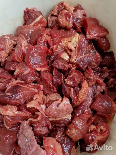 Мясо, птица и мясо продукты для собак