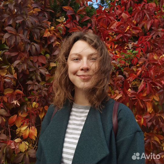 Репетитор по истории