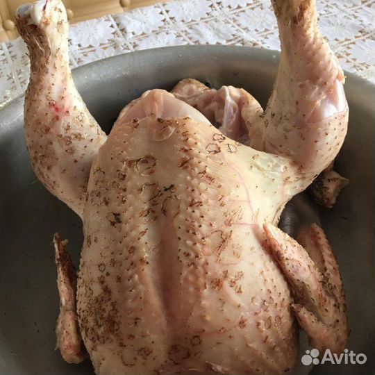 Мясо домашнего бройлера