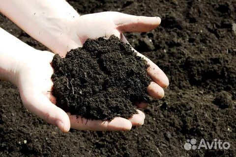 Земля сеяная ковшовый сеялкой