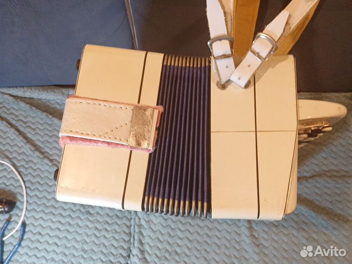 Баян тульский