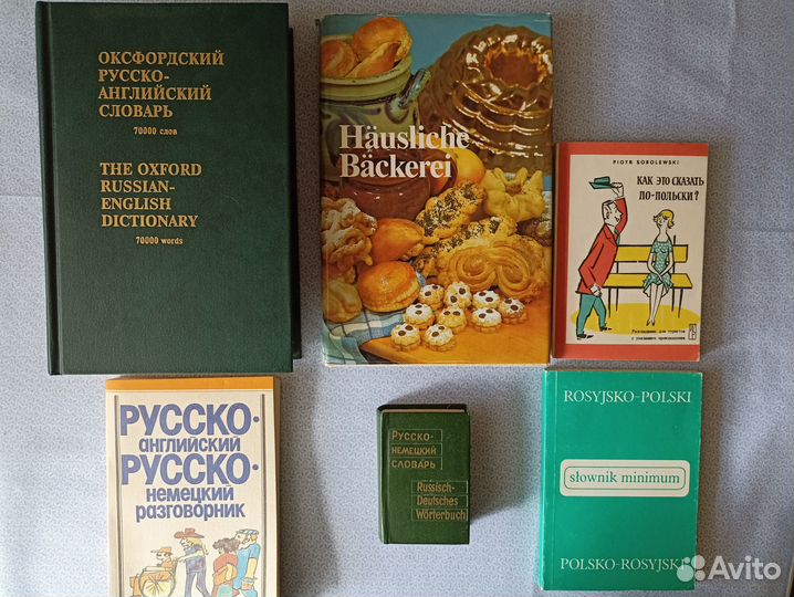 Чешский, польский, немецкий, испанский, англ язык