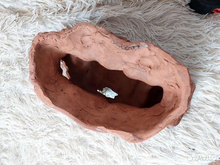 Для аквариума