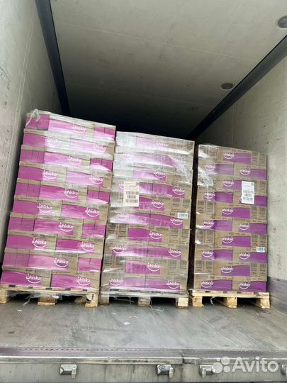 Корм для кошек