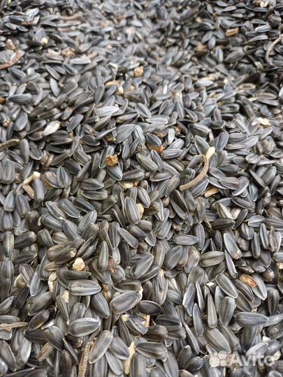 Отходы семечки