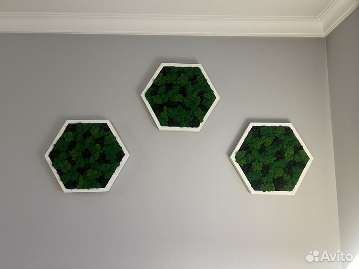 Панно из мха