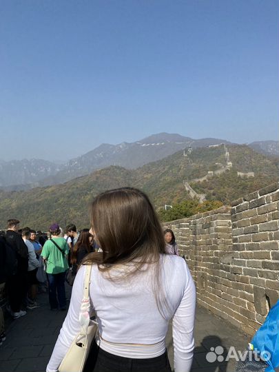 Репетитор по китайскому языку онлайн