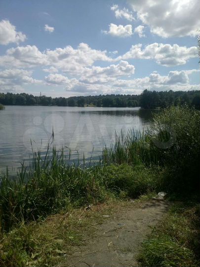 Участок 6,3 сот. (СНТ, ДНП)
