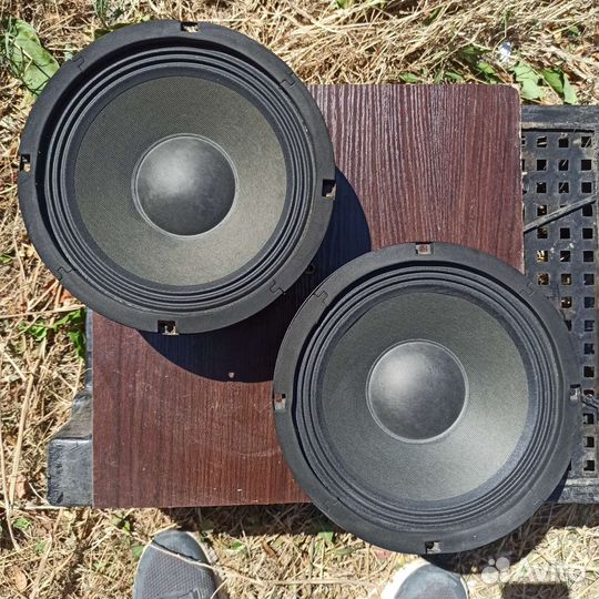 Эстрадная акустика