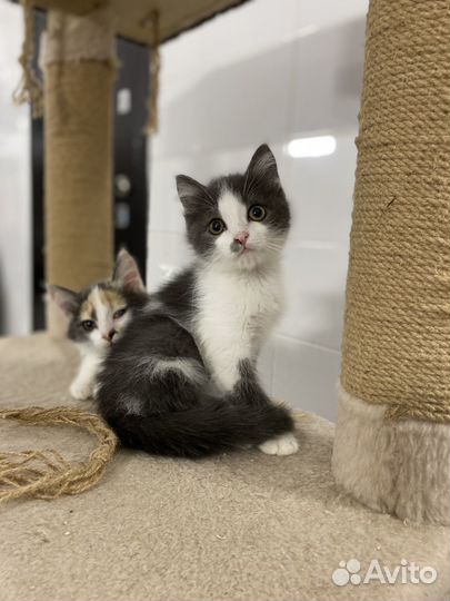 Мальчик ищет дом