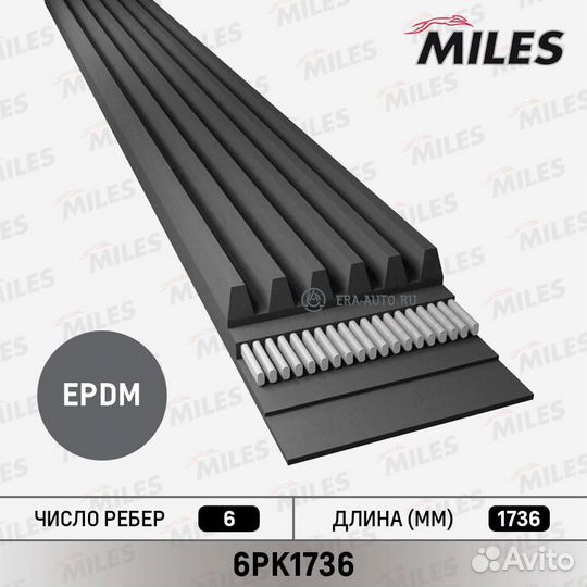 Miles 6PK1736 Ремень поликлиновой 6PK1736