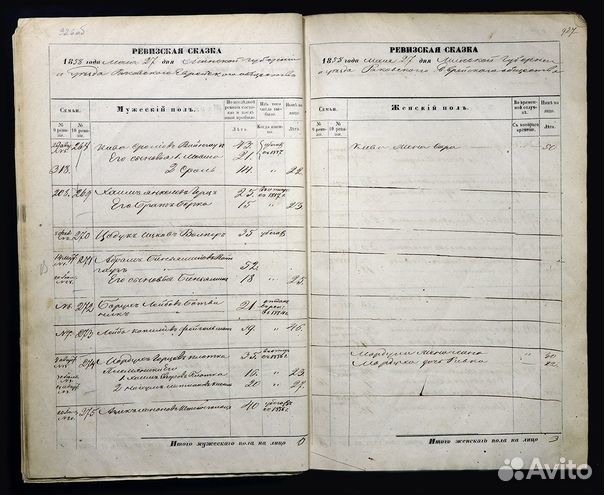 Составление родословной