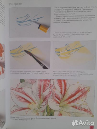 Билли Шоуэлл.Акварельные портреты цветов