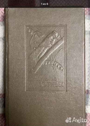 Жизнь животных