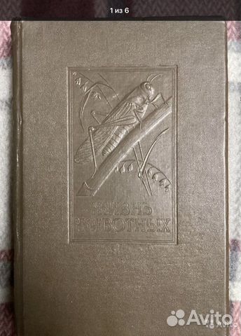 Жизнь животных