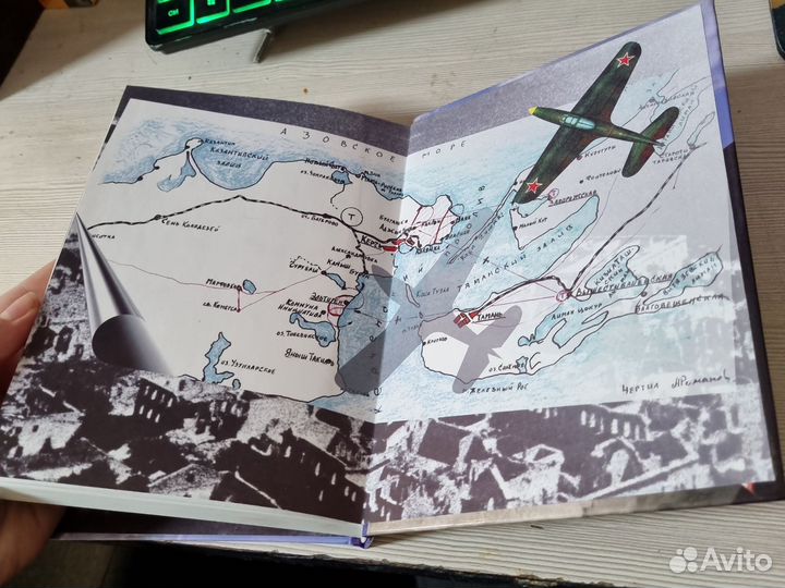 Книга. В небе Камозин