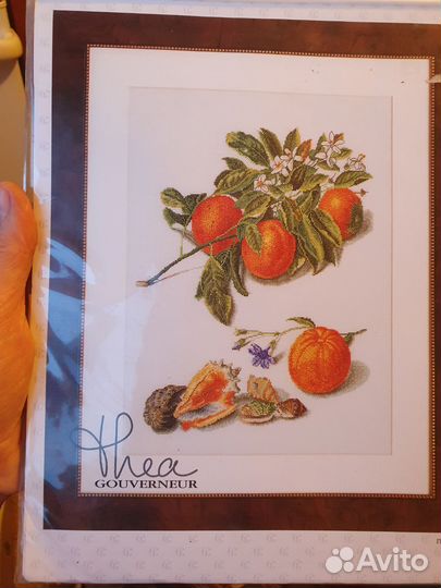 Набор для вышивания фрукты Thea Gouverner
